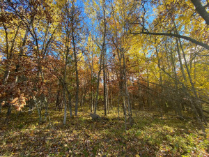 Photo for TBD Explorer Circle, Park Rapids, MN 56470 - Listing #6129031 TBD Explorer Circle, Park Rapids, MN 56470