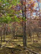 Photo for TBD Explorer Circle, Park Rapids, MN 56470 - Listing #6129031 TBD Explorer Circle, Park Rapids, MN 56470