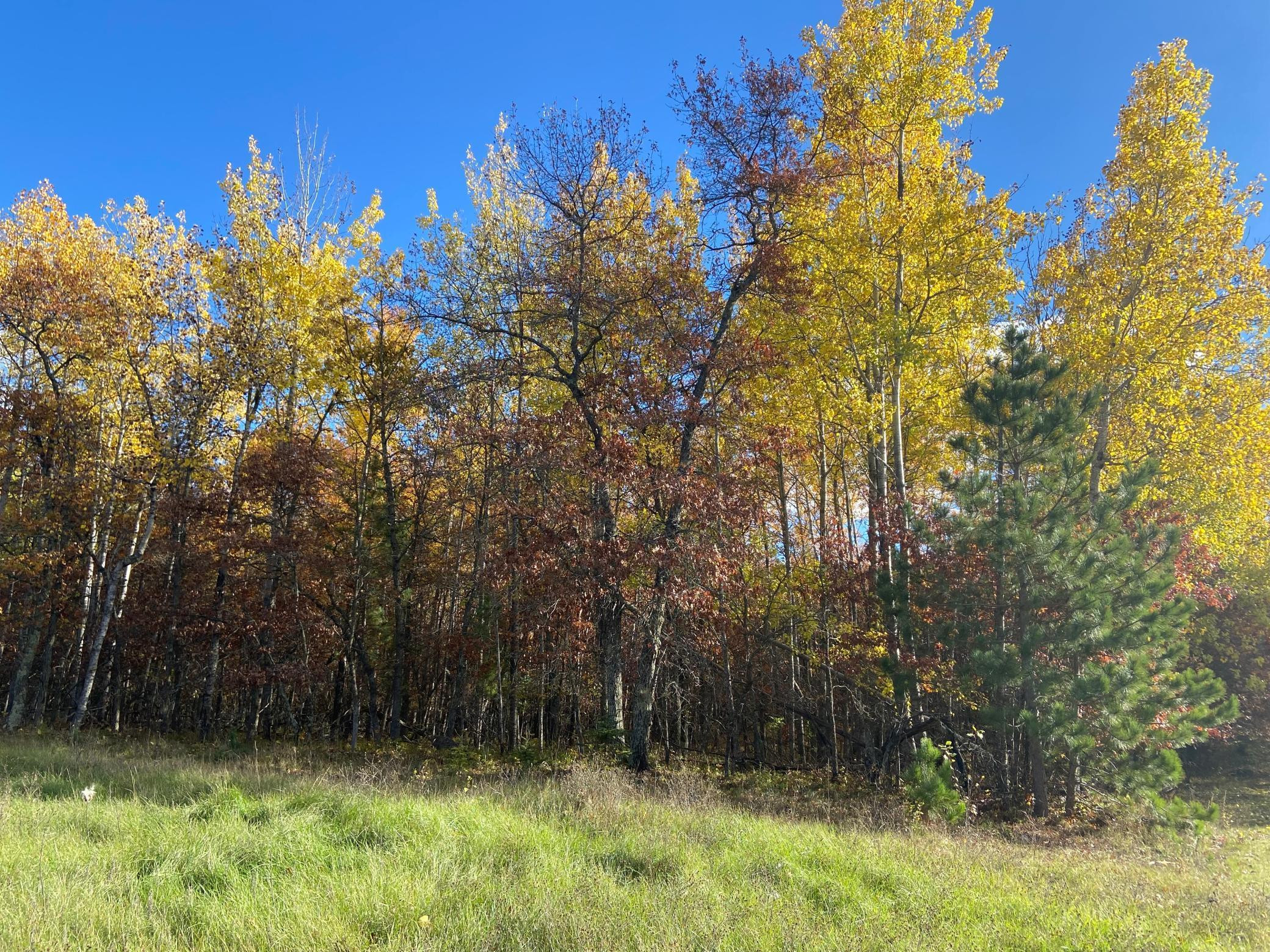 Photo for TBD Explorer Circle, Park Rapids, MN 56470 - Listing #6129031 TBD Explorer Circle, Park Rapids, MN 56470