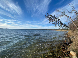 Photo for TBD County 40, Park Rapids, MN 56470 - Listing #6130165 TBD County 40, Park Rapids, MN 56470