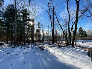 Photo for TBD County 40, Park Rapids, MN 56470 - Listing #6130165 TBD County 40, Park Rapids, MN 56470