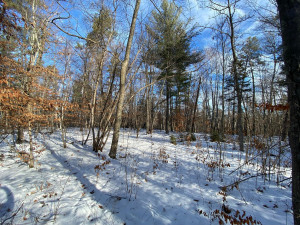 Photo for TBD County 40, Park Rapids, MN 56470 - Listing #6130165 TBD County 40, Park Rapids, MN 56470