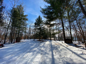 Photo for TBD County 40, Park Rapids, MN 56470 - Listing #6130165 TBD County 40, Park Rapids, MN 56470