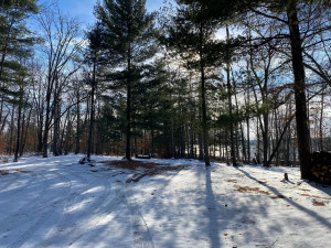 Photo for TBD County 40, Park Rapids, MN 56470 - Listing #6130165 TBD County 40, Park Rapids, MN 56470