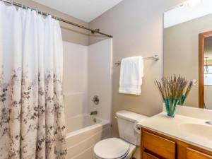 Photo for 660 Lake Ridge Drive, Woodbury, MN 55129 - Listing #6129458 660 Lake Ridge Drive Woodbury MN 55129 USA-030-024-Bathroom-MLS_Size