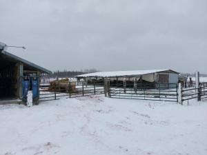 Photo for 3259 Highway 53, International Falls, MN 56649 - Listing #6130626 3259 Highway 53, International Falls, MN 56649