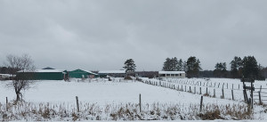 Photo for 3259 Highway 53, International Falls, MN 56649 - Listing #6130626 3259 Highway 53, International Falls, MN 56649