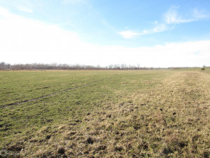 Photo for 12592 Hill Boulevard, Drakesville, IA 52552 - Listing #6130832 12592 Hill Boulevard, Drakesville, IA 52552
