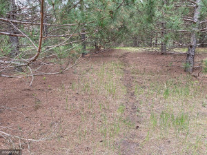 Photo for TBD County Road 5, Browerville, MN 56438 - Listing #6133197 TBD County Road 5, Browerville, MN 56438