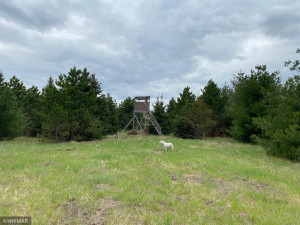 Photo for TBD County Road 5, Browerville, MN 56438 - Listing #6133197 TBD County Road 5, Browerville, MN 56438