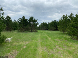 Photo for TBD County Road 5, Browerville, MN 56438 - Listing #6133197 TBD County Road 5, Browerville, MN 56438
