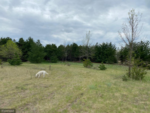 Photo for TBD County Road 5, Browerville, MN 56438 - Listing #6133197 TBD County Road 5, Browerville, MN 56438