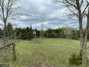 Photo for TBD County Road 5, Browerville, MN 56438 - Listing #6133197 TBD County Road 5, Browerville, MN 56438