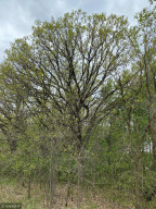Photo for TBD County Road 5, Browerville, MN 56438 - Listing #6133197 TBD County Road 5, Browerville, MN 56438