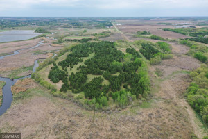 Photo for TBD County Road 5, Browerville, MN 56438 - Listing #6133197 TBD County Road 5, Browerville, MN 56438