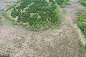 Photo for TBD County Road 5, Browerville, MN 56438 - Listing #6133197 TBD County Road 5, Browerville, MN 56438