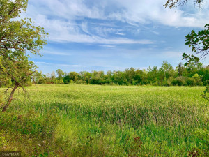 Photo for TBD 38TH ST NW, Williams, MN 56686 - Listing #6087782 TBD 38TH ST NW, Williams, MN 56686