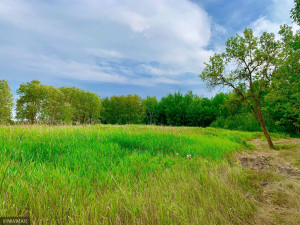 Photo for TBD 38TH ST NW, Williams, MN 56686 - Listing #6087782 TBD 38TH ST NW, Williams, MN 56686