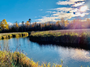Photo for TBD 38TH ST NW, Williams, MN 56686 - Listing #6087782 TBD 38TH ST NW, Williams, MN 56686