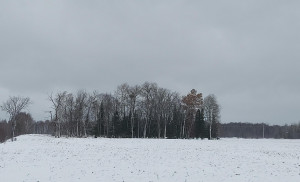 Photo for 3259 Highway 53, International Falls, MN 56649 - Listing #6130626 3259 Highway 53, International Falls, MN 56649
