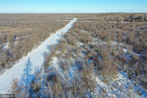 Photo for 240th Avenue, Greenbush, MN 56726 - Listing #6135154 240th Avenue, Greenbush, MN 56726