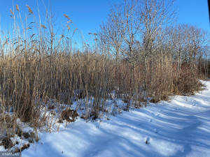 Photo for 240th Avenue, Greenbush, MN 56726 - Listing #6135154 240th Avenue, Greenbush, MN 56726