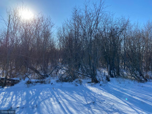 Photo for 240th Avenue, Greenbush, MN 56726 - Listing #6135154 240th Avenue, Greenbush, MN 56726