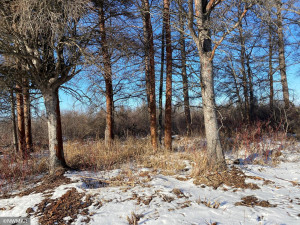 Photo for 240th Avenue, Greenbush, MN 56726 - Listing #6135154 240th Avenue, Greenbush, MN 56726