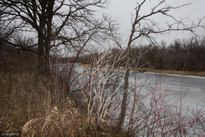 Photo for 12140 NE 126th Avenue NE, Thief River Falls, MN 56701 - Listing #6138348 12140 NE 126th Avenue NE, Thief River Falls, MN 56701