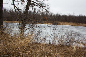 Photo for 12140 NE 126th Avenue NE, Thief River Falls, MN 56701 - Listing #6138348 12140 NE 126th Avenue NE, Thief River Falls, MN 56701