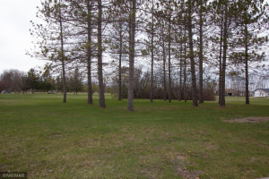 Photo for 221 Sherwood Avenue N, Thief River Falls, MN 56701 - Listing #6138378 221 Sherwood Avenue N, Thief River Falls, MN 56701