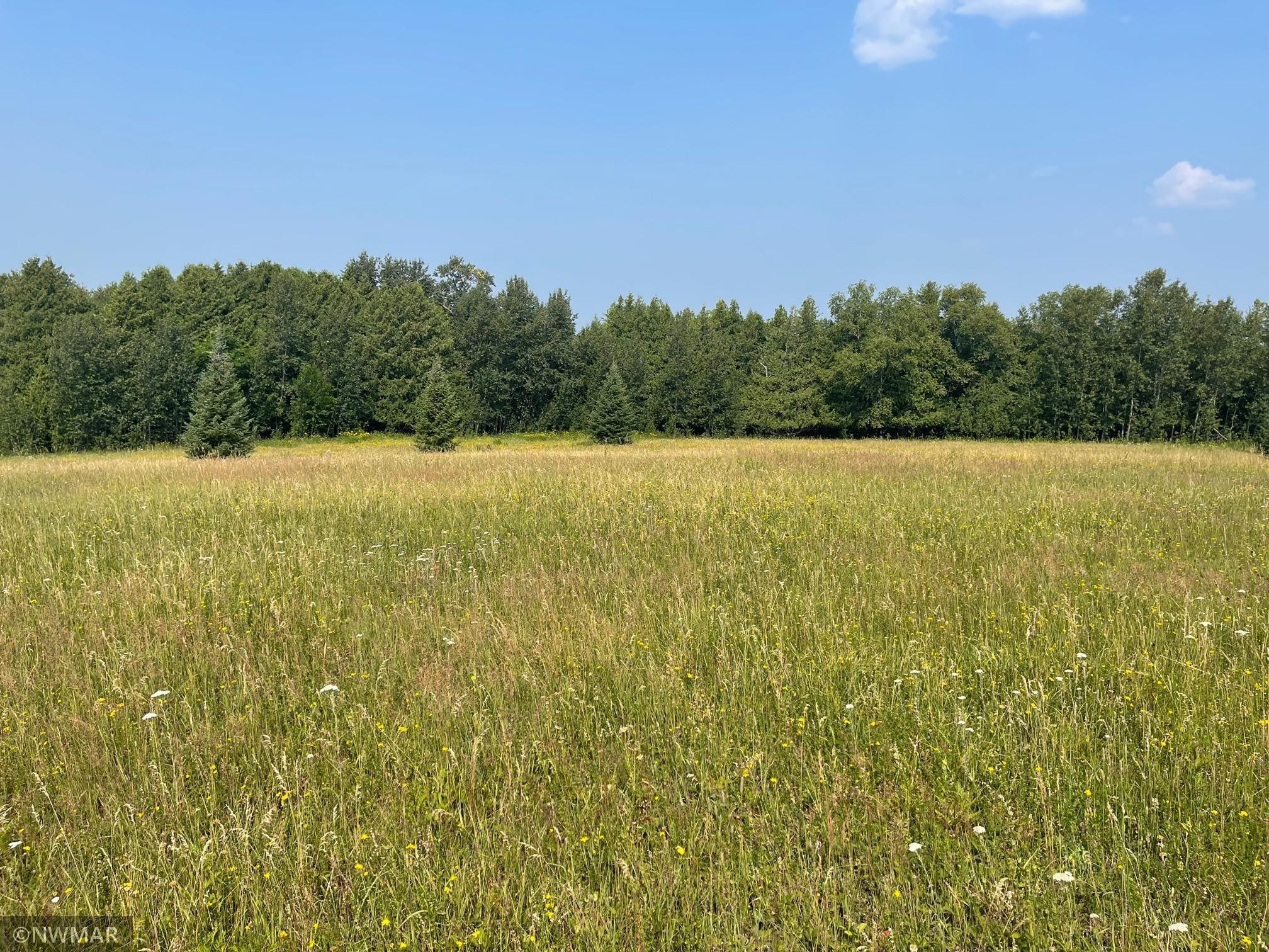 Waterfront Land For Sale CENTURY 21 Dickinson Realtors