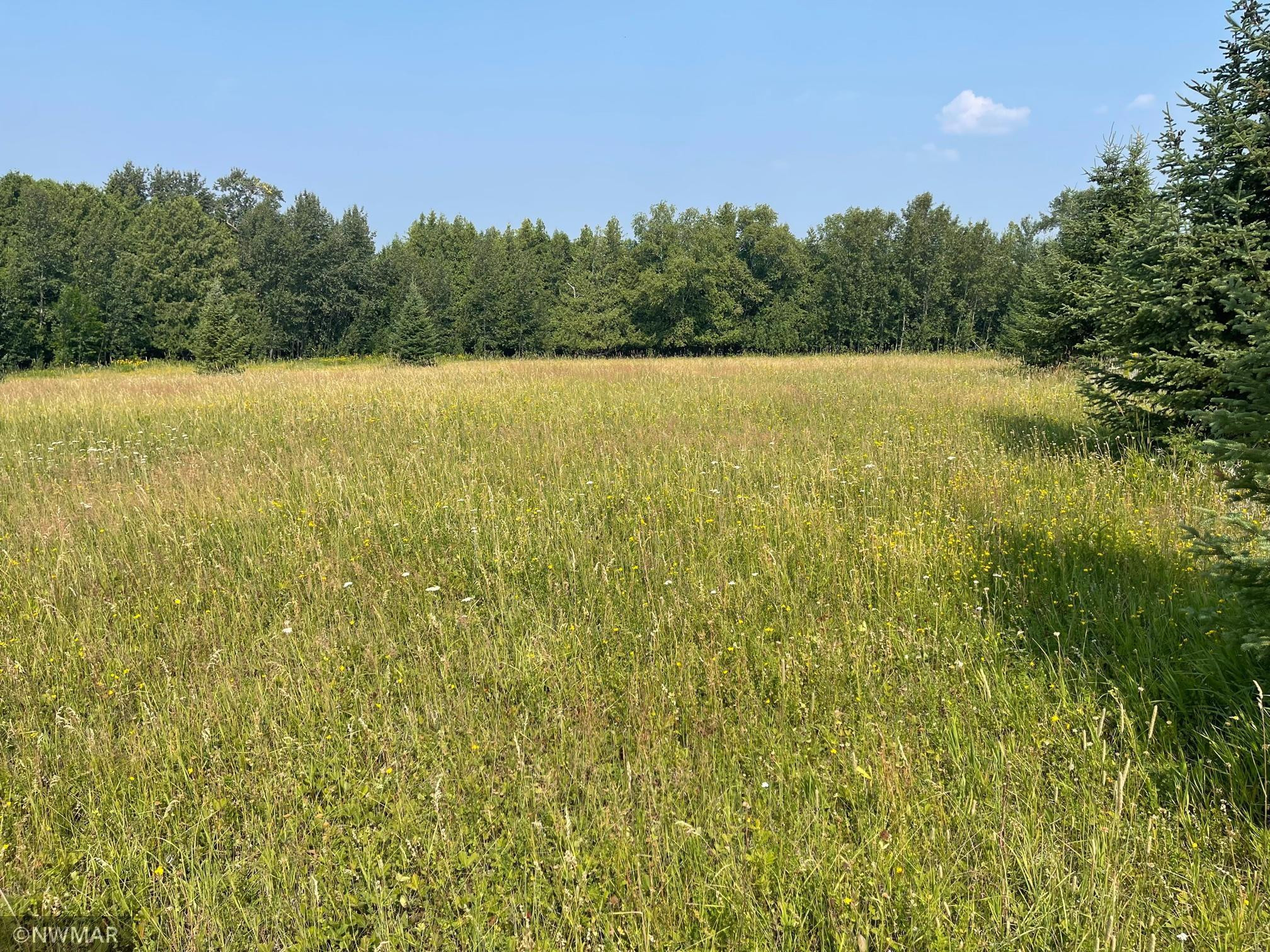 Waterfront Land For Sale CENTURY 21 Dickinson Realtors