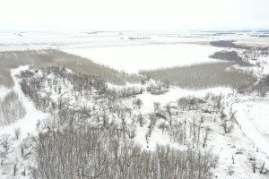 Photo for TBD County Highway 220, Stephen, MN 56757 - Listing #6165907 TBD County Highway 220, Stephen, MN 56757