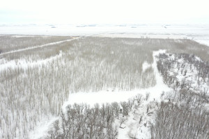 Photo for TBD County Highway 220, Stephen, MN 56757 - Listing #6165907 TBD County Highway 220, Stephen, MN 56757