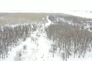 Photo for TBD County Highway 220, Stephen, MN 56757 - Listing #6165907 TBD County Highway 220, Stephen, MN 56757