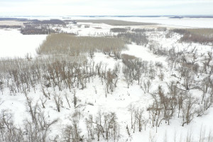 Photo for TBD County Highway 220, Stephen, MN 56757 - Listing #6165907 TBD County Highway 220, Stephen, MN 56757