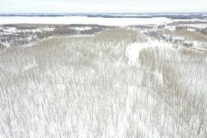 Photo for TBD County Highway 220, Stephen, MN 56757 - Listing #6165907 TBD County Highway 220, Stephen, MN 56757