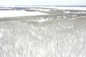 Photo for TBD County Highway 220, Stephen, MN 56757 - Listing #6165907 TBD County Highway 220, Stephen, MN 56757