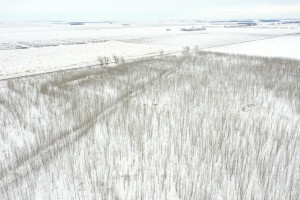 Photo for TBD County Highway 220, Stephen, MN 56757 - Listing #6165907 TBD County Highway 220, Stephen, MN 56757