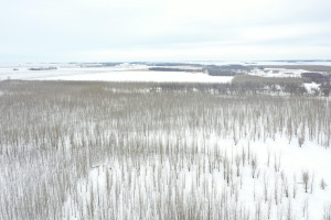 Photo for TBD County Highway 220, Stephen, MN 56757 - Listing #6165907 TBD County Highway 220, Stephen, MN 56757