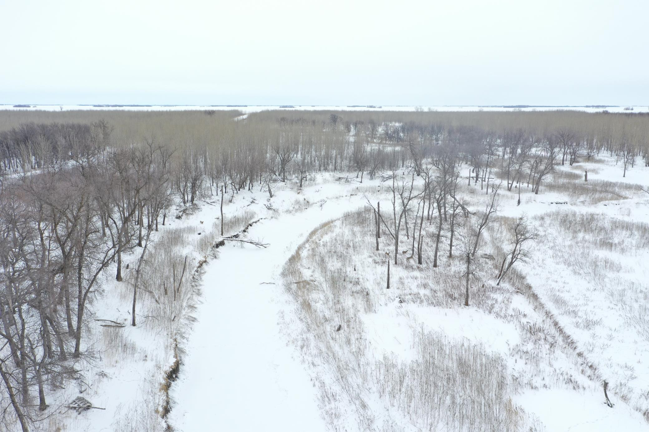 Photo for TBD County Highway 220, Stephen, MN 56757 - Listing #6165907 TBD County Highway 220, Stephen, MN 56757