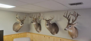 Photo for TBD County Highway 220, Stephen, MN 56757 - Listing #6165907 TBD County Highway 220, Stephen, MN 56757