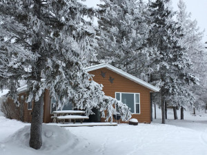 Photo for 19262 N Blackduck Lake Road NE, Hines, MN 56647 - Listing #6147824 19262 N Blackduck Lake Road NE, Hines, MN 56647