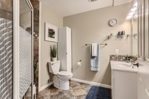 Photo for 410 Lancaster Lane N, Champlin, MN 55316 - Listing #6184032 Also downstairs is a large bathroom. Check out that tile surround in the shower!