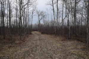 Photo for TBD 370th, Gatzke, MN 56724 - Listing #6187028 TBD 370th, Gatzke, MN 56724