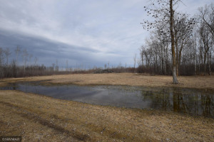 Photo for TBD 370th, Gatzke, MN 56724 - Listing #6187028 TBD 370th, Gatzke, MN 56724