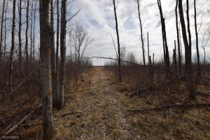Photo for TBD 370th, Gatzke, MN 56724 - Listing #6187028 TBD 370th, Gatzke, MN 56724