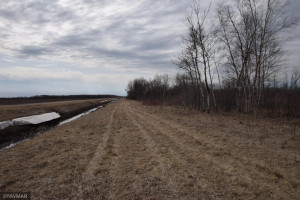 Photo for TBD 370th, Gatzke, MN 56724 - Listing #6187028 TBD 370th, Gatzke, MN 56724