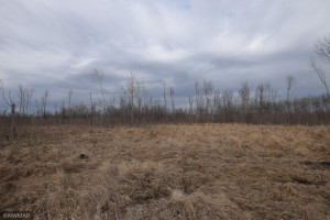 Photo for TBD 370th, Gatzke, MN 56724 - Listing #6187028 TBD 370th, Gatzke, MN 56724